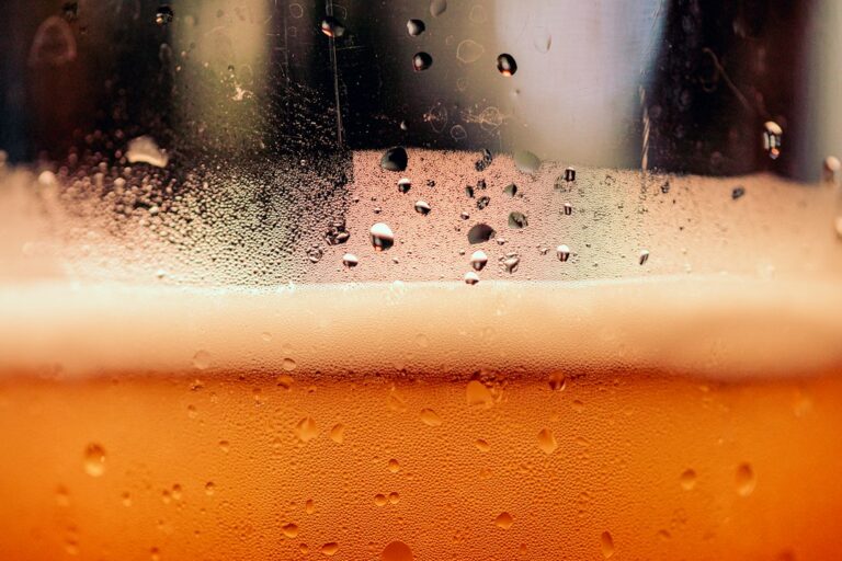 Close-up of a cold amber beer with a white foam head in a frosted glass.